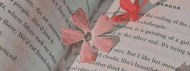 ℳℰℛ𝒰🥀🧸さんの壁紙画像