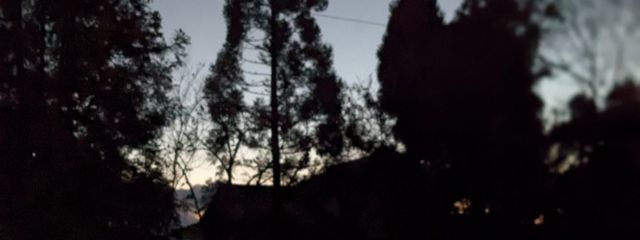 だぁうさんの壁紙画像