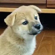 htm@ioiさんのアイコン画像