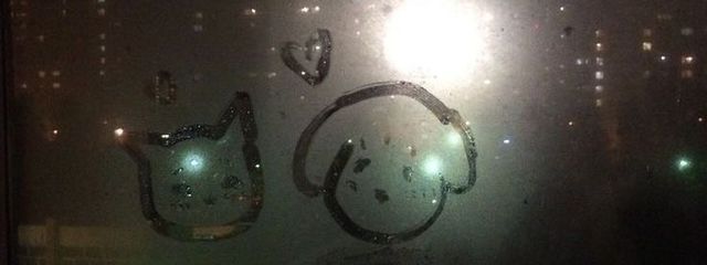 suzuさんの壁紙画像