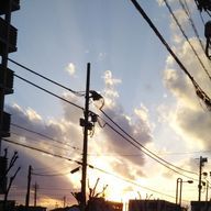 夕紀さんのアイコン画像