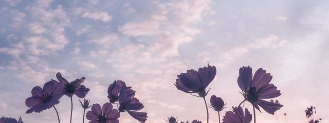 ℝ𝕦𝕔𝕙𝕚さんの壁紙画像