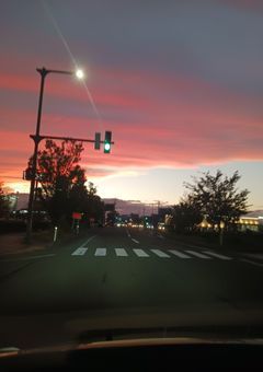 第5プロif集