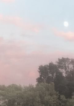 スキスキ絶頂症