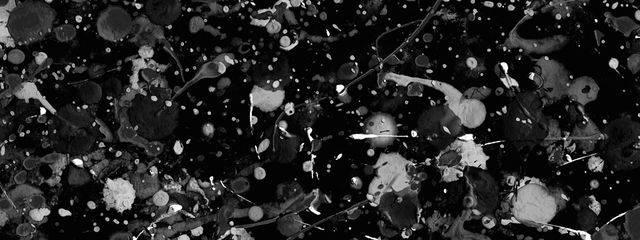 湿ったチワワ+(╰😇╯)+腐天使さんの壁紙画像