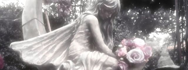 ໒꒱· ﾟさんの壁紙画像