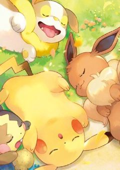 アニポケ物語!