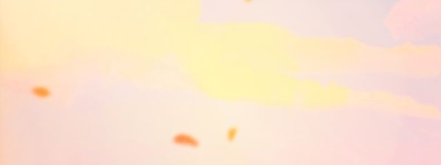 クローバーさんの壁紙画像