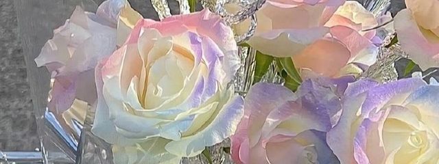 ゆーちゃんさんの壁紙画像