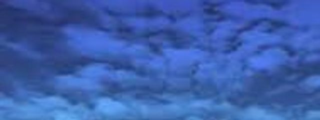 tuyuさんの壁紙画像