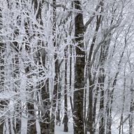 Kageyouさんのアイコン画像