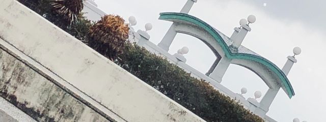 Ⓜ︎ｙさんの壁紙画像