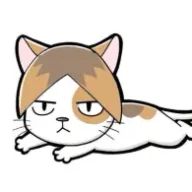 misa. nishinaさんのアイコン画像
