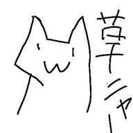 ただねこさんのアイコン画像