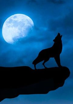 拝啓、群れる子羊たちよ