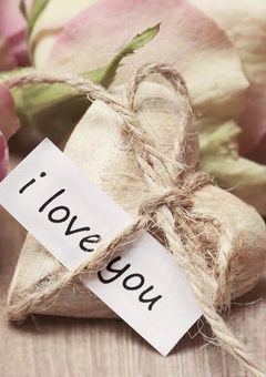 ❧ 好き ❧ が溢れていく