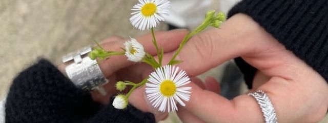 ななさんの壁紙画像