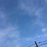 🧊𝕚𝕔𝕖🧊さんのアイコン画像