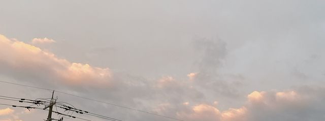 リオさんの壁紙画像