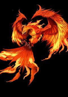 テスト結果報告