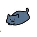 ねこ