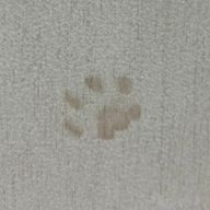 きなこさんのアイコン画像