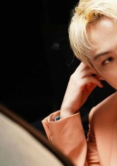 ヤンキー捨て猫理論証明されました