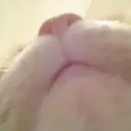 𝓜amiさんのアイコン画像