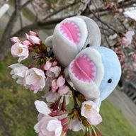 kno,,さんのアイコン画像