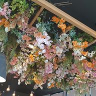 りるりる🌺🪐🎷@活休という名の超絶低浮さんのアイコン画像