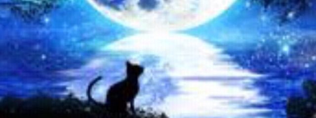 藍 aiさんの壁紙画像