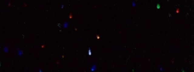 せいらさんの壁紙画像