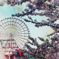 虹恋さんのアイコン画像