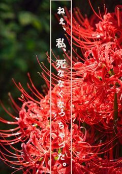 ねぇ、私、死ななくなっちゃった。第三章
