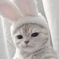 ももさんのアイコン画像