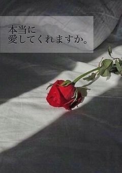 恋を教えてくれませんか？