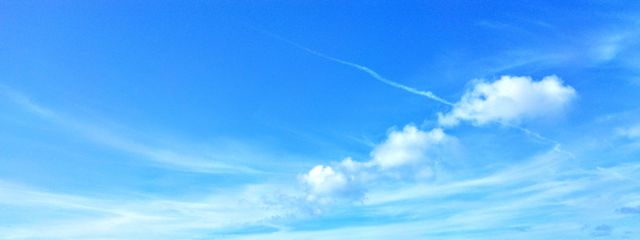 死んだら蘇った人さんの壁紙画像