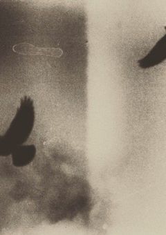 死体になった君を見たい