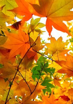 私の活動報告書