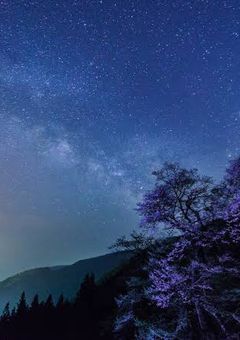 一夜の好奇心