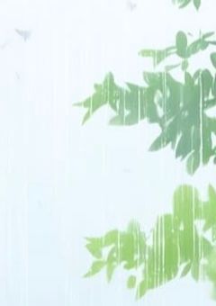 ︎︎▼ ︎︎雨の日限定で会う君 。