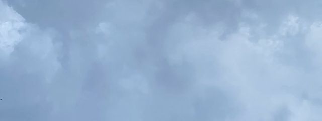 みみんさんの壁紙画像