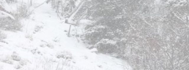 雪ノ瀬さんの壁紙画像