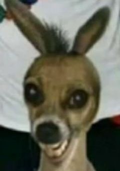 相互限定無双雑談