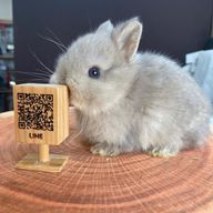 亜ぁ。さんのアイコン画像