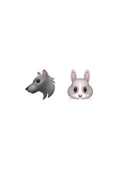 삼복즈🐺🐰