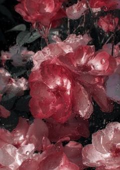 努力している人は