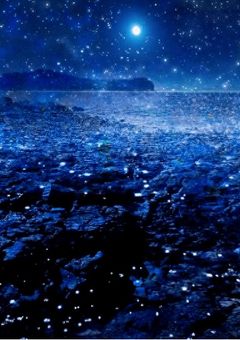 不思議な愛と、死にたがり屋の私