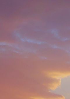 私は貴方の使い魔です