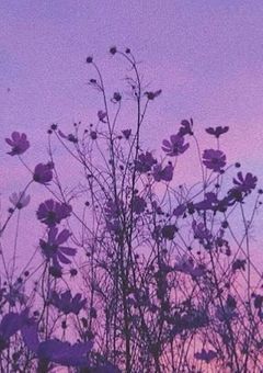 いれりすの愚痴